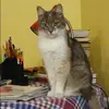 Отзыв от Фаина Юдина